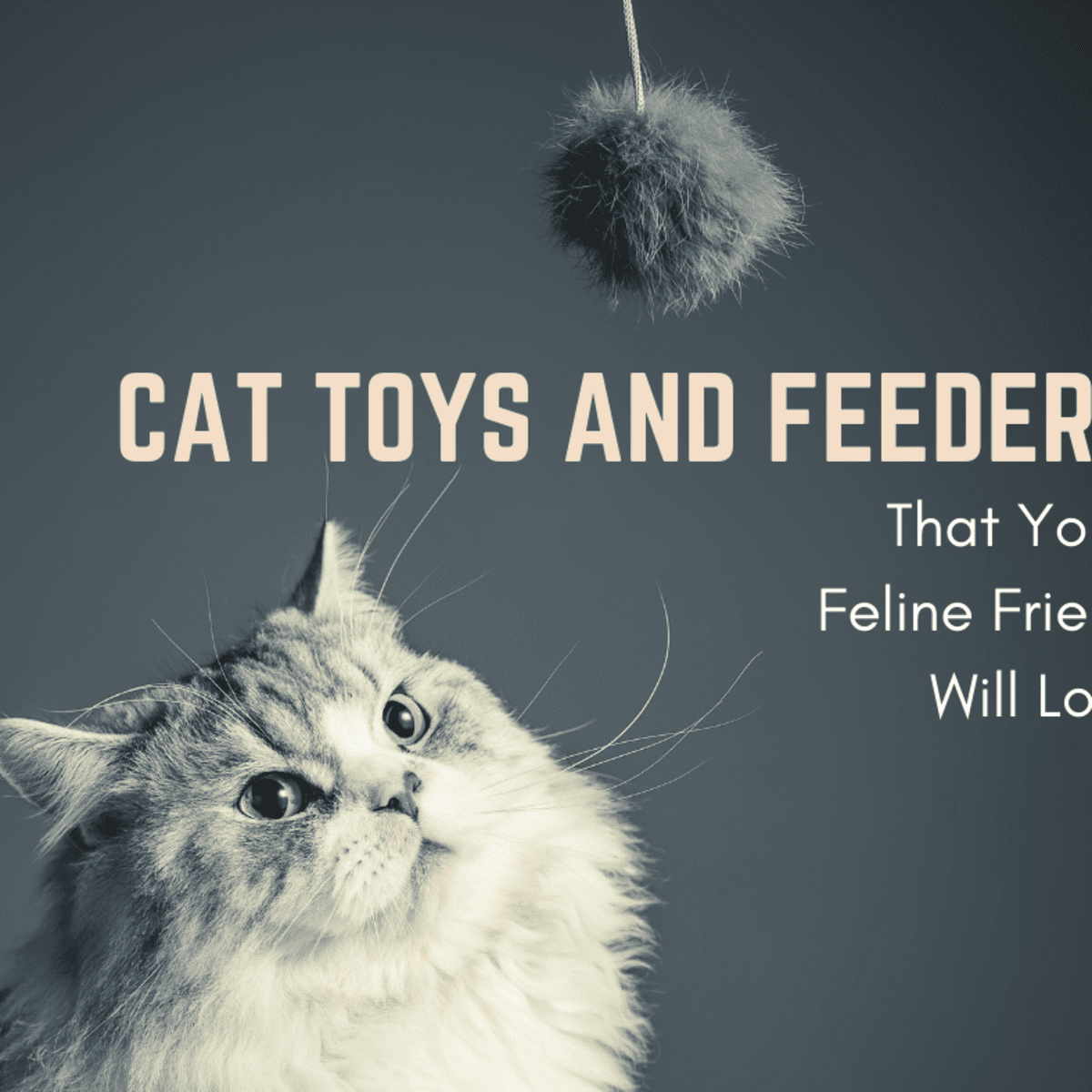 Interactive Feeders and Toys That Cats Love - PetHelpful