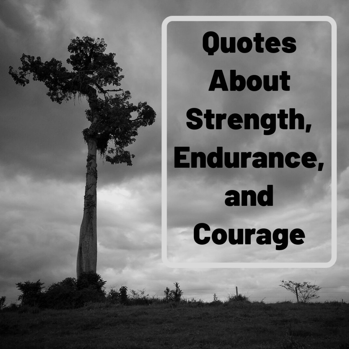 quotes about strength and courage tattoos