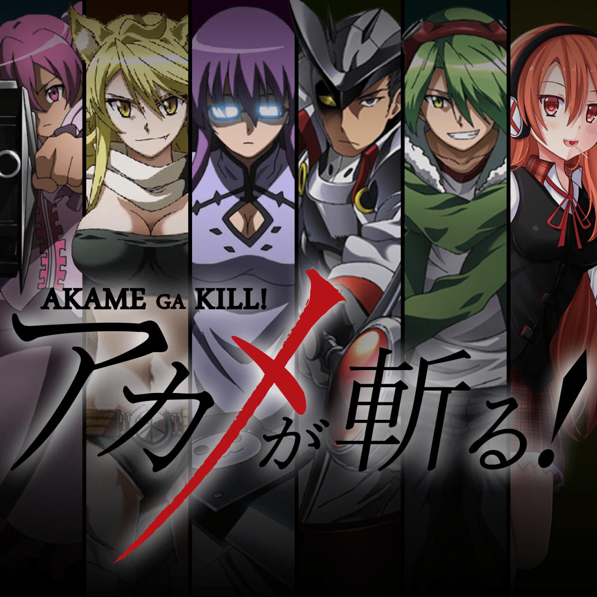 Anime Like Akame ga Kill!