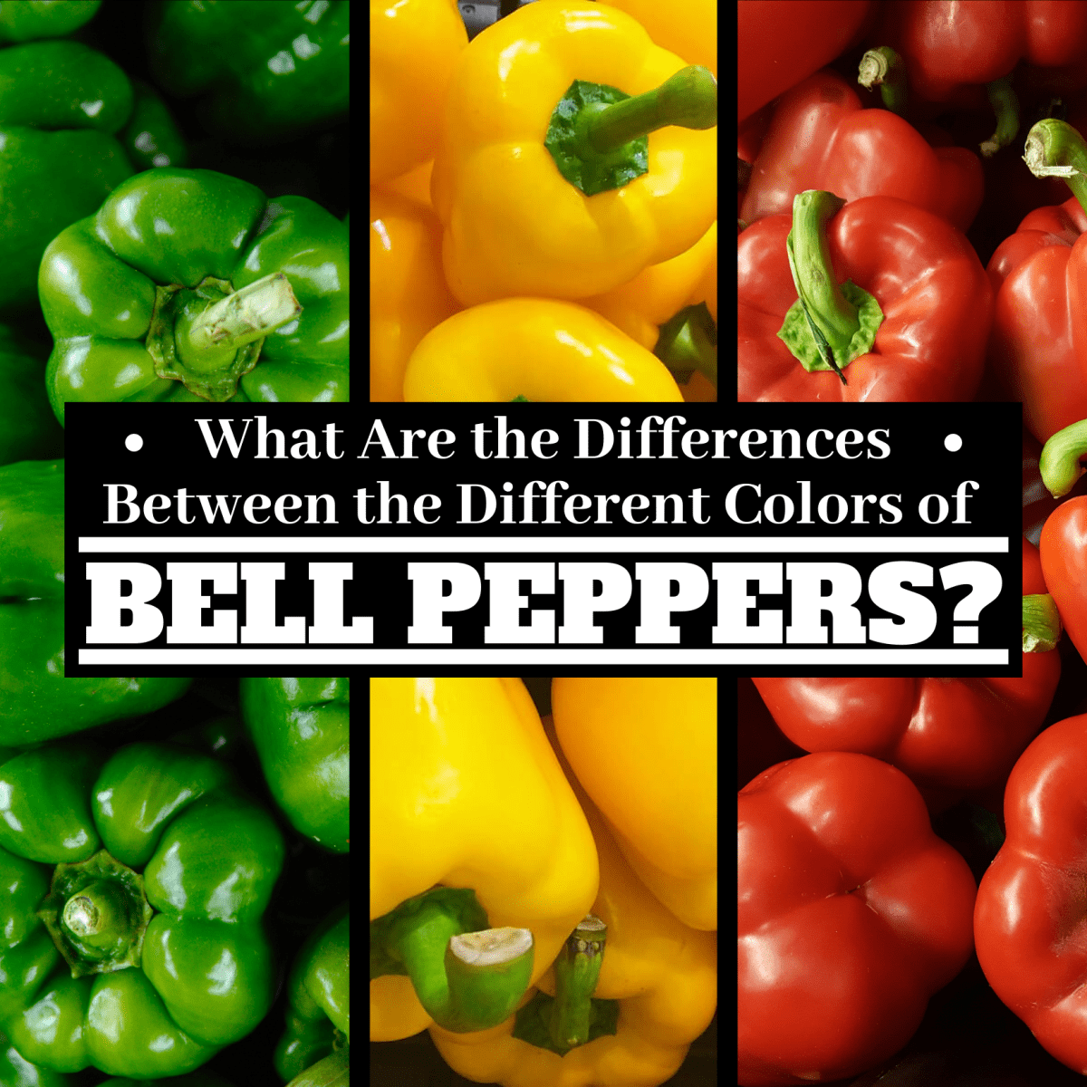Peppers: Differences Between Green, Yellow, Orange, and Red - Delishably