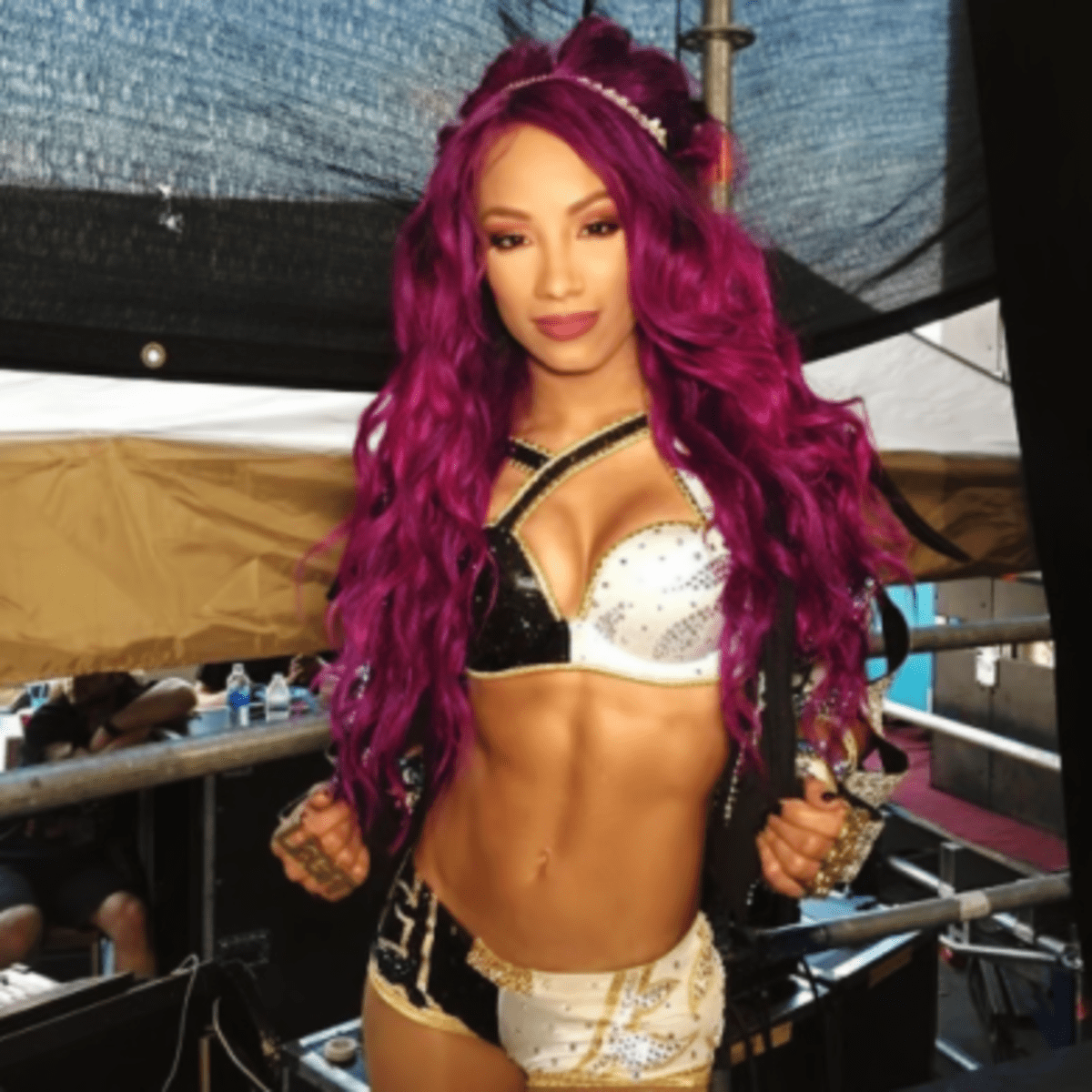 1200px x 1200px - 5 Facts About WWE Superstar Sasha Banks - HowTheyPlay