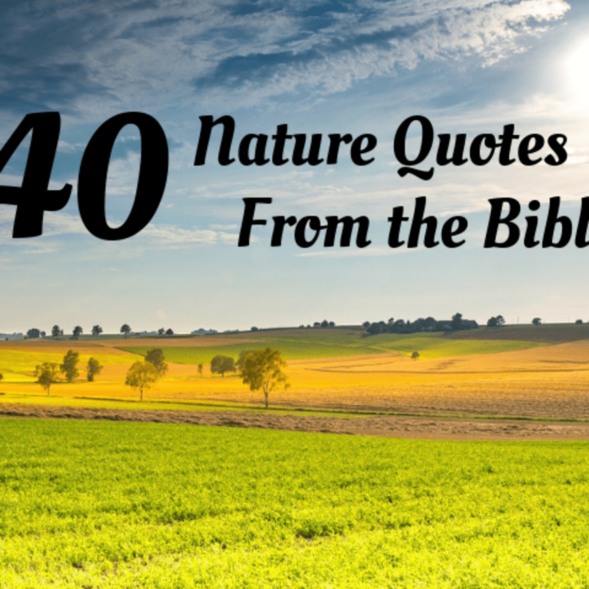 40 Nature Quotes for the Christian Classroom - Holidappy