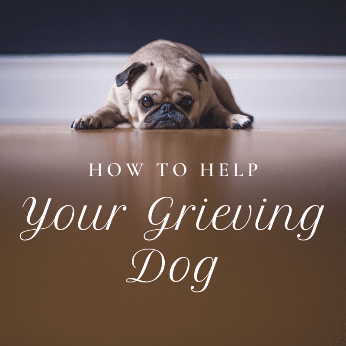 how do dogs grieve