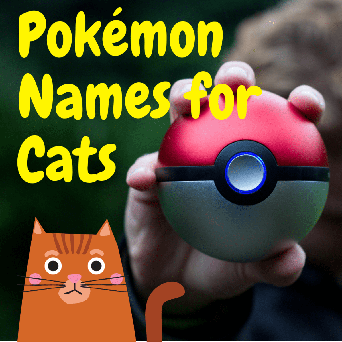 150 Pokémon Cat Names - PetHelpful