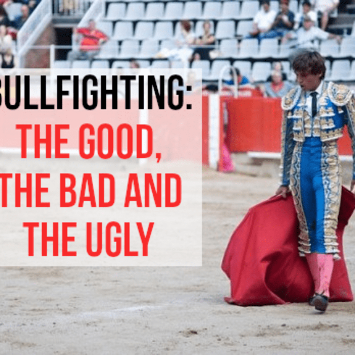 Arguments for and Against Bullfighting - Soapboxie