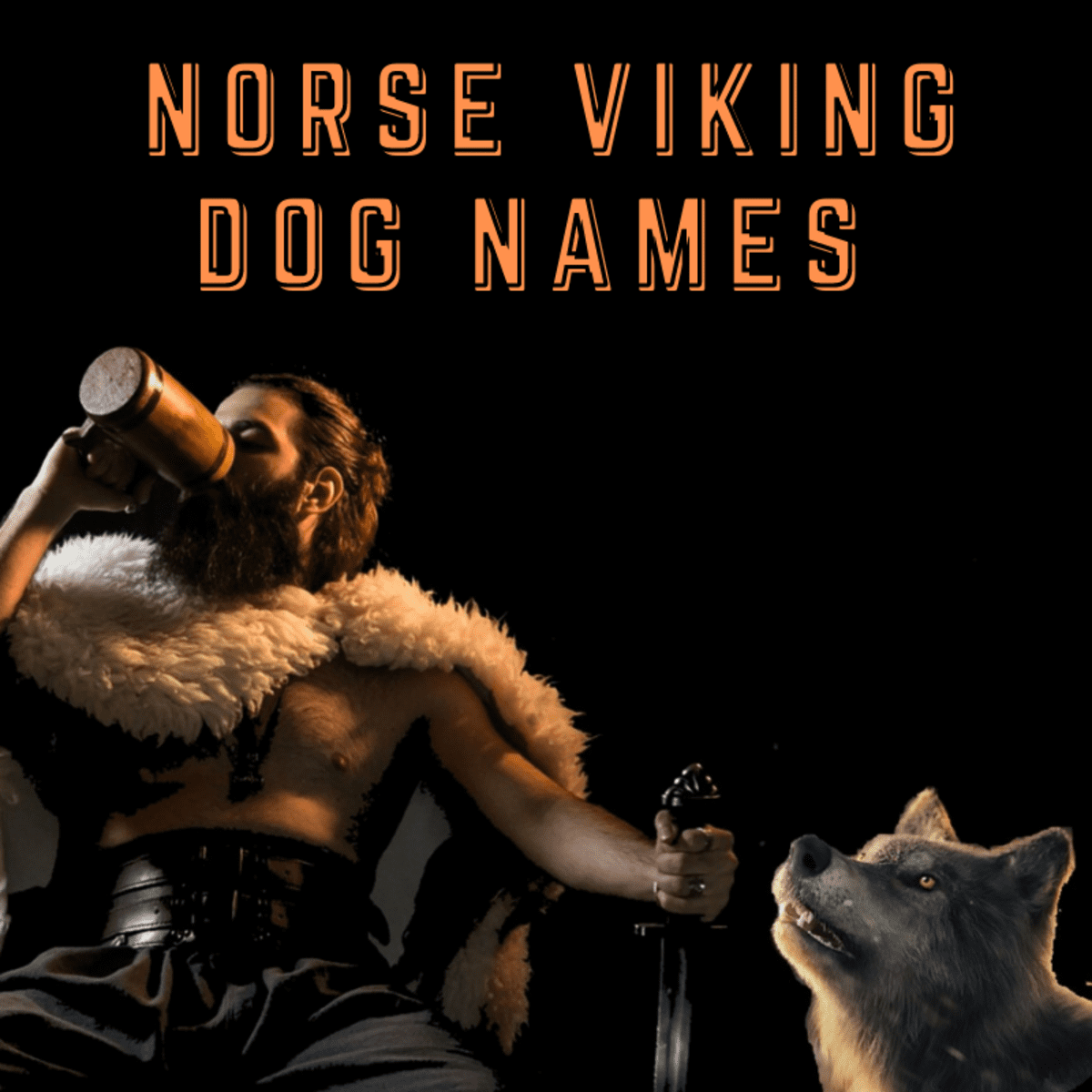 110 Norse Viking Dog Names With Definitions Pethelpful