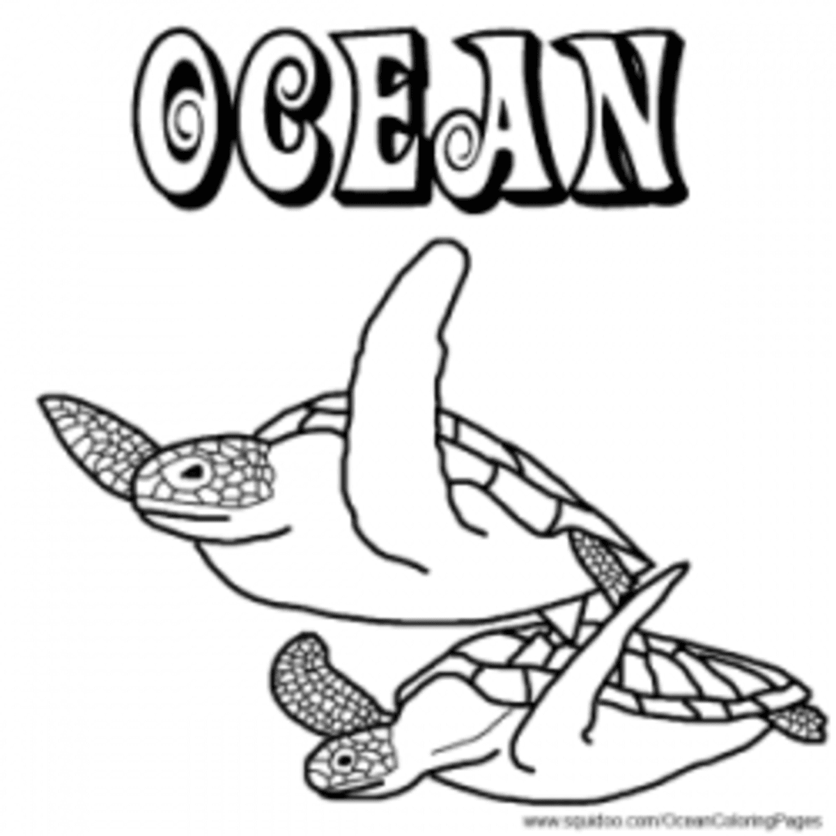 Ocean Animal Facts and Coloring Pages - HubPages