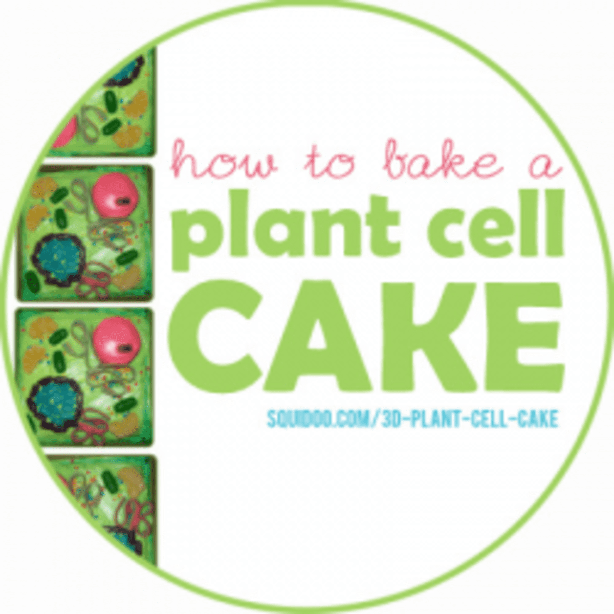 3D Plant Cell Cakes - HubPages