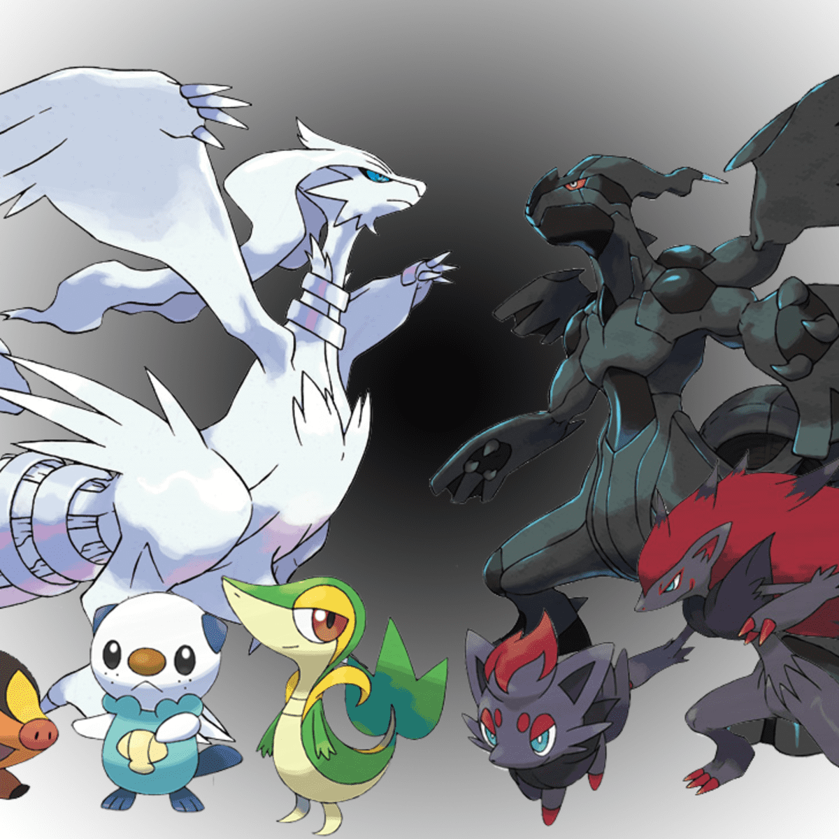 Which 5th Generation Starter are you choosing? - Pokémon Black/White -  Giant Bomb