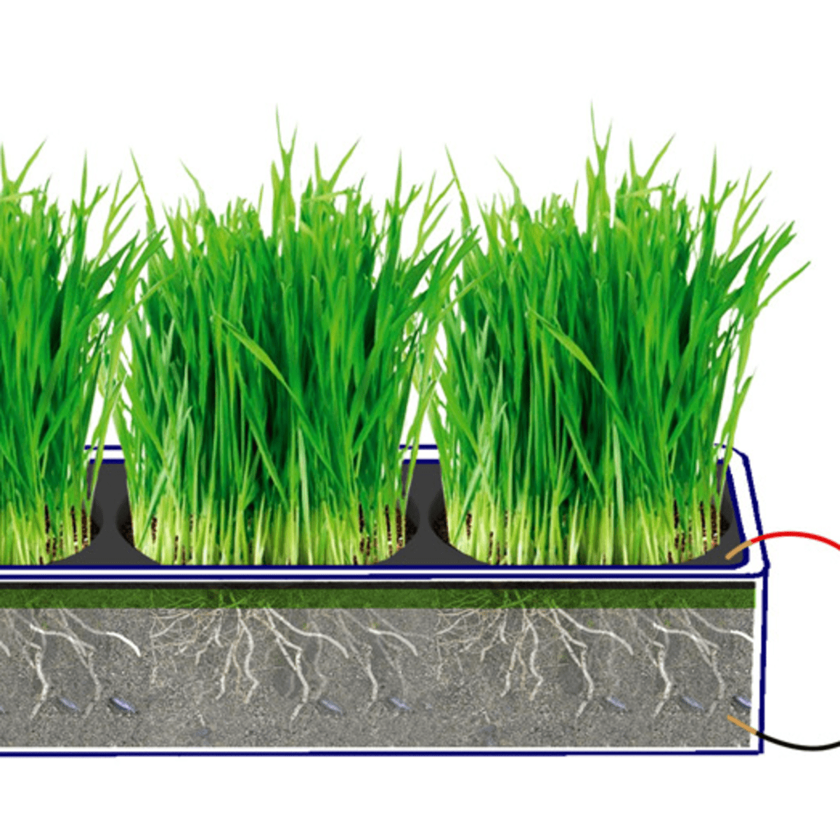 How To Generate Electricity From Plants - HubPages