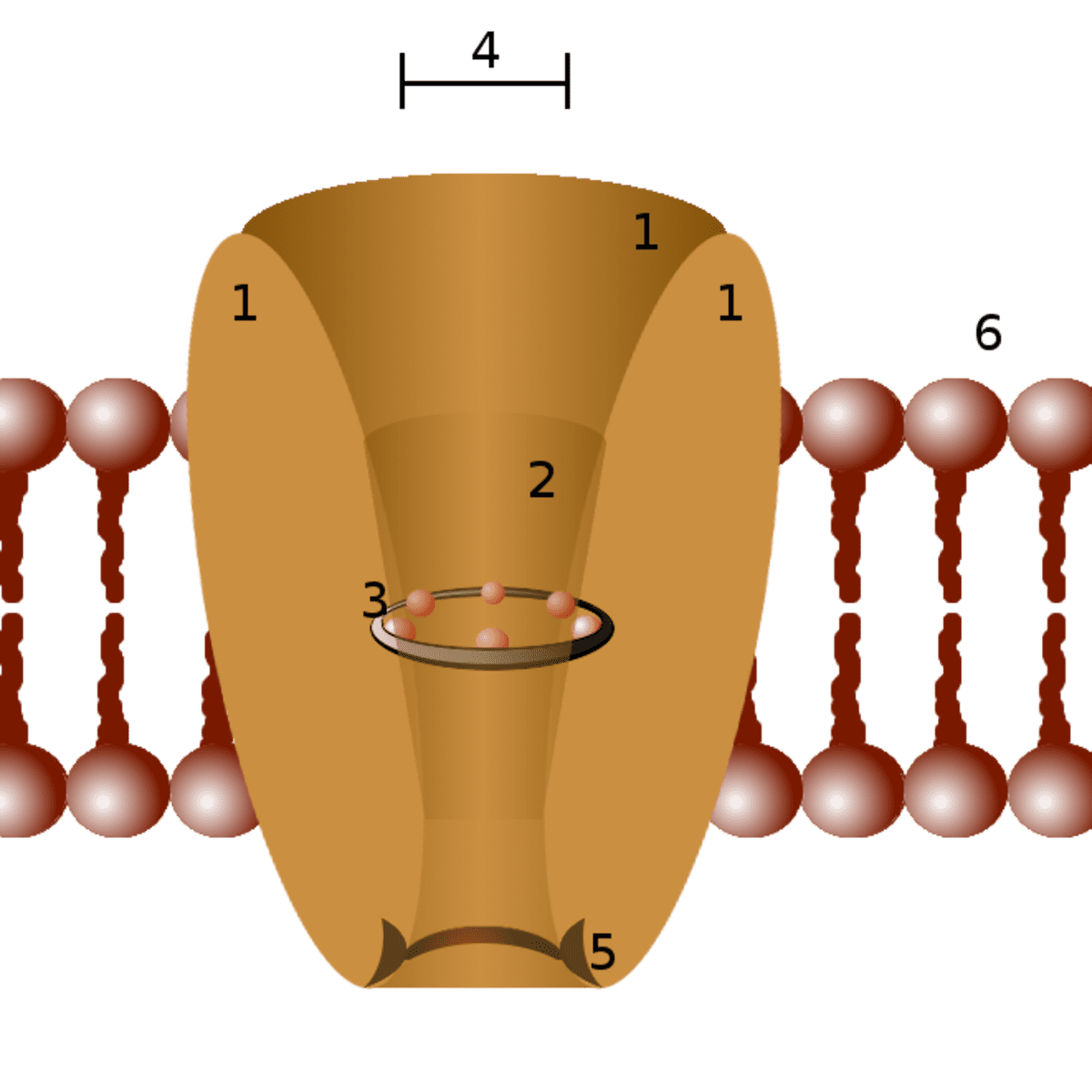 ion definition