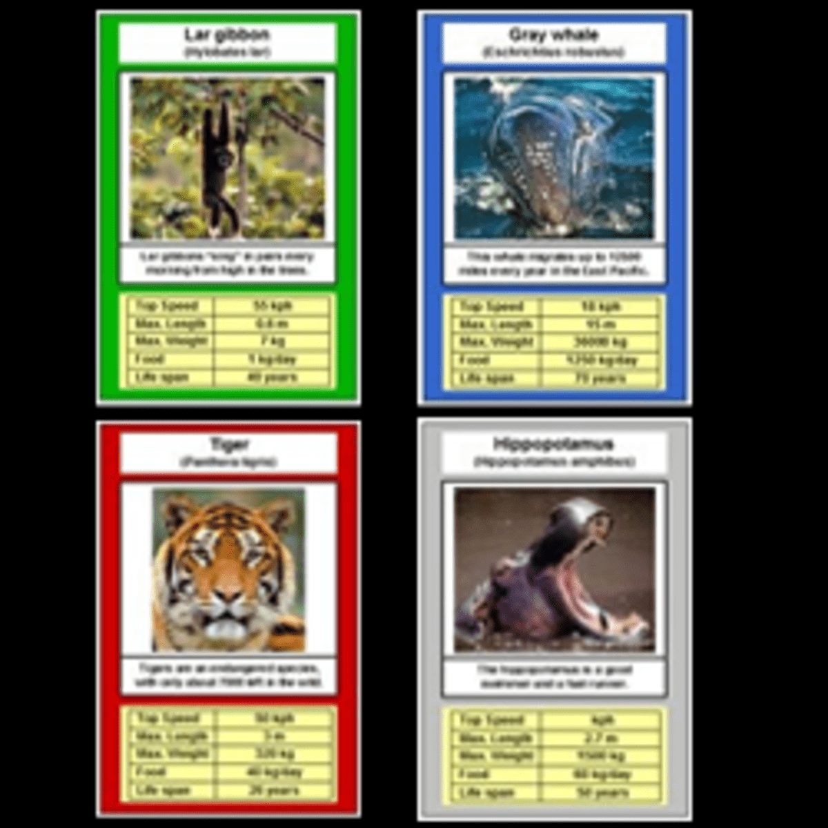 Top Trump Card Template