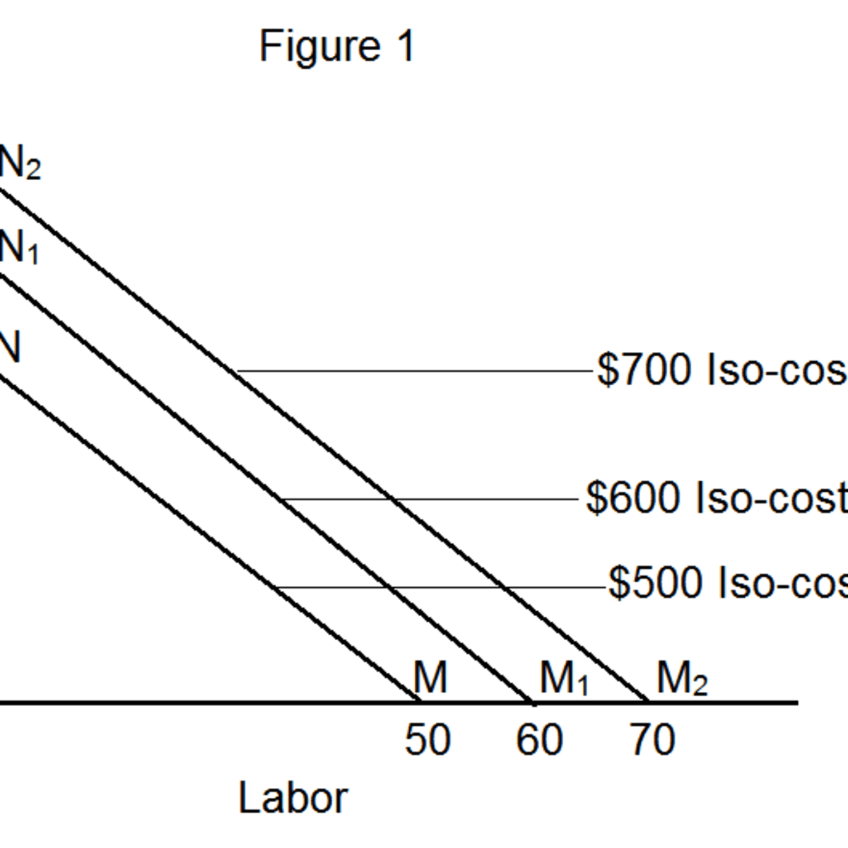 Isocost lines