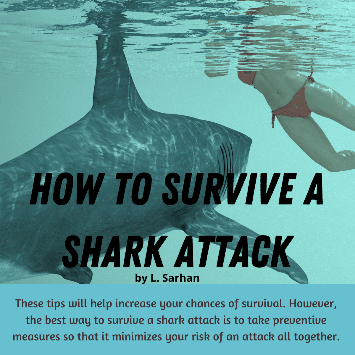 How to Survive a Shark Attack