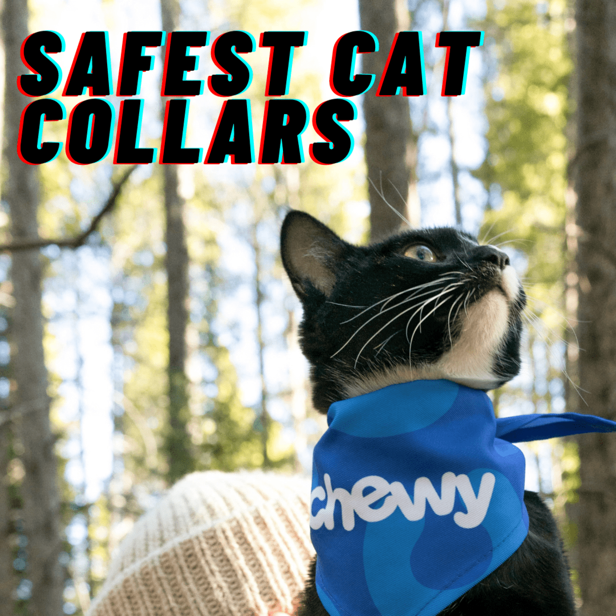 Best cat collar for outdoor cat Outlet