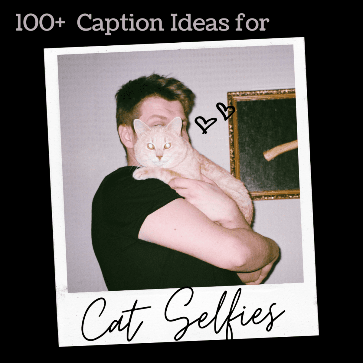 best captions for selfies with cats