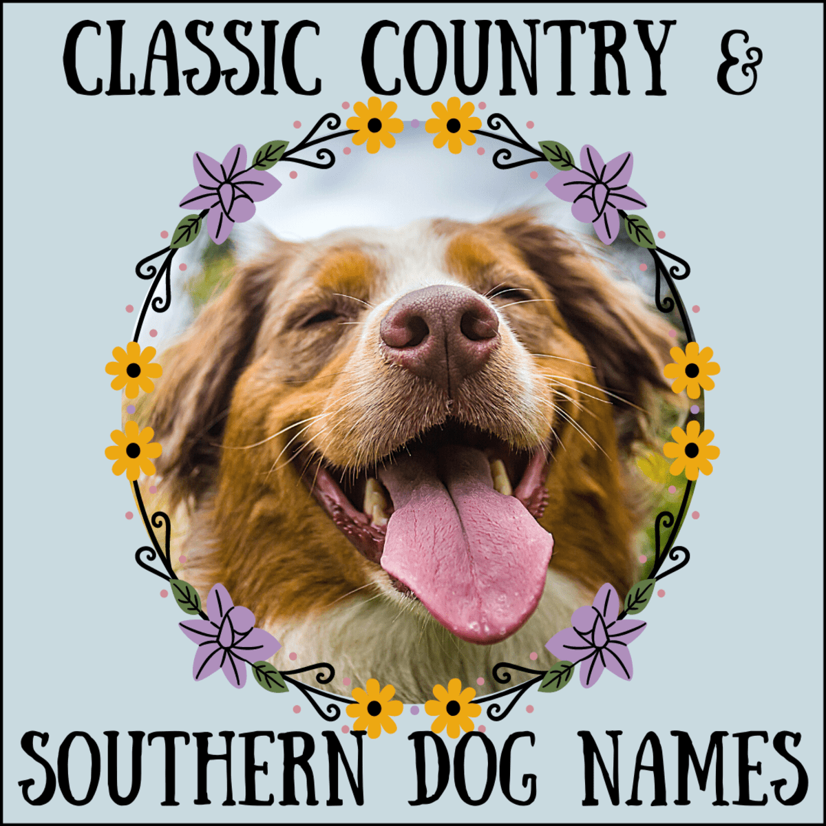 0 Traditional Country Western And Southern Dog Names Pethelpful