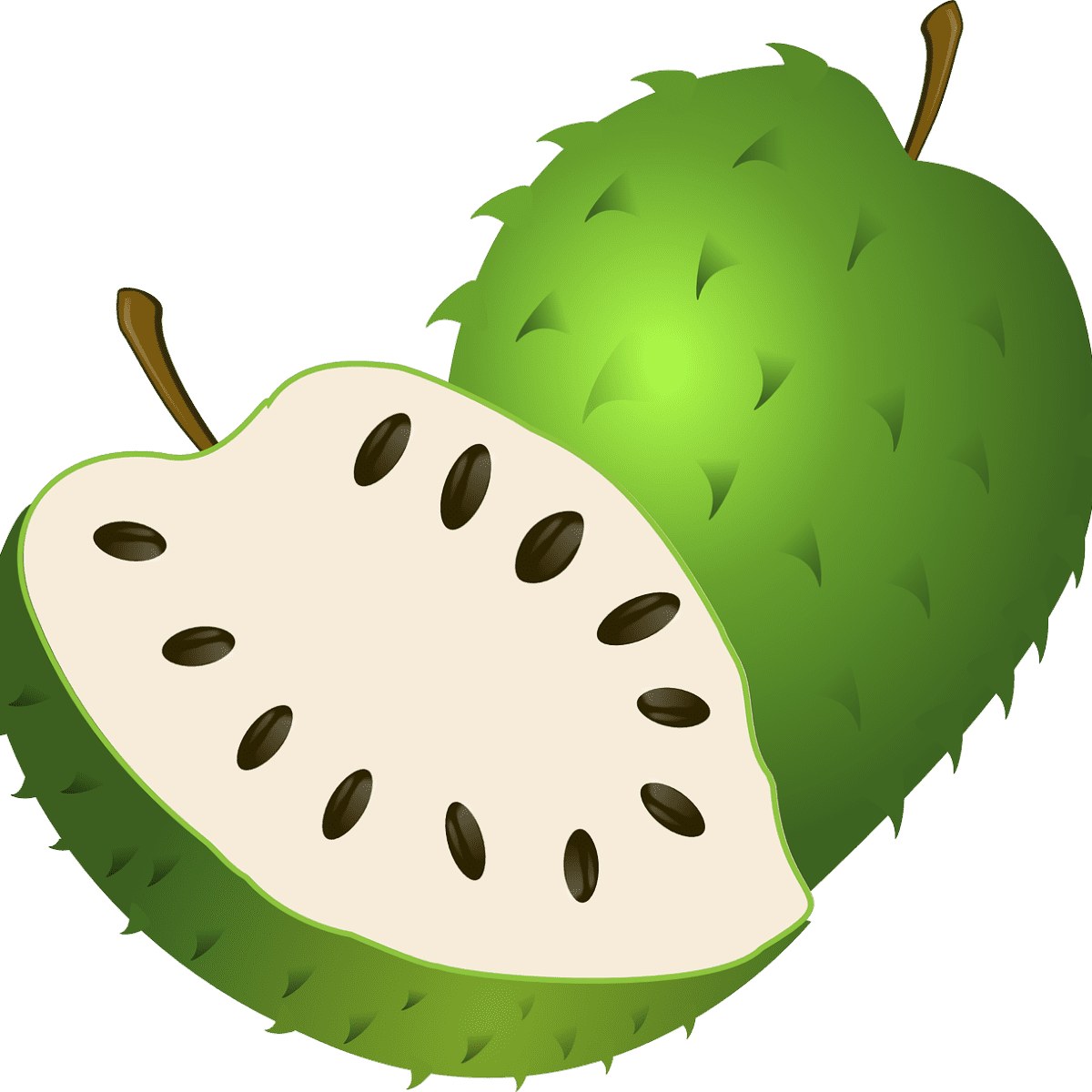 15 Health Benefits Of Guyabano Soursop Leaves Hubpages