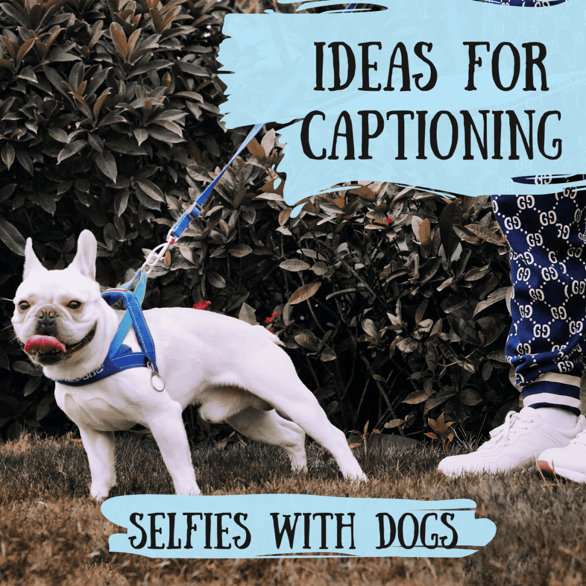 100+ Best Captions for Selfies With Dogs - TurboFuture