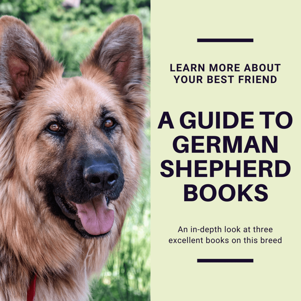 do dogs understand german better