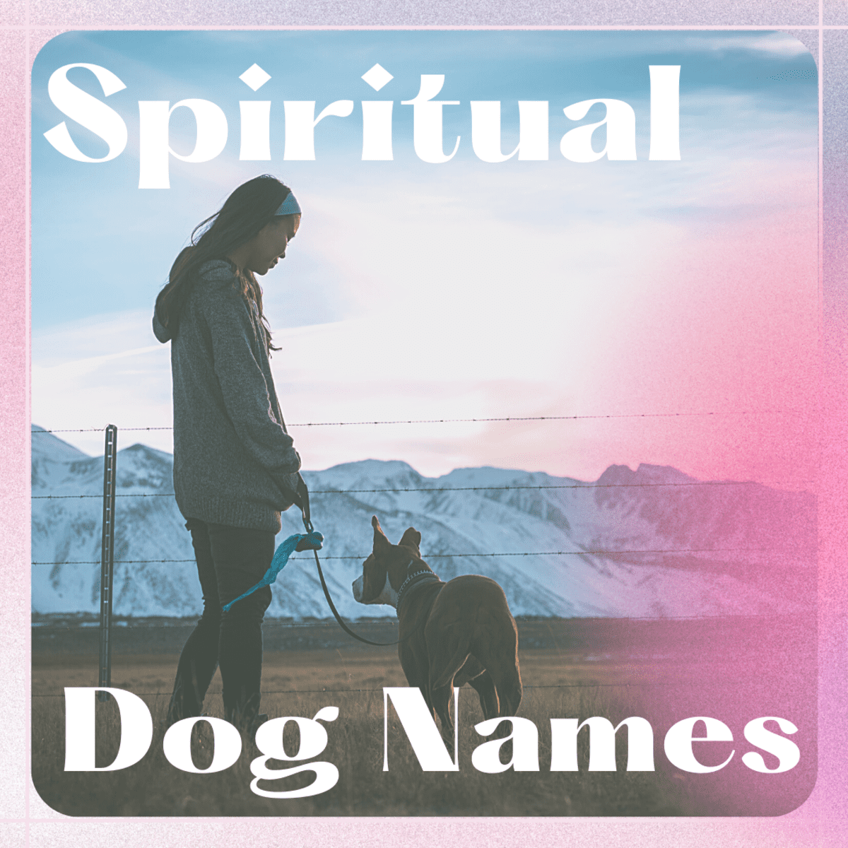 99 Meaningful Mystical And Spiritual Names For Dogs Pethelpful