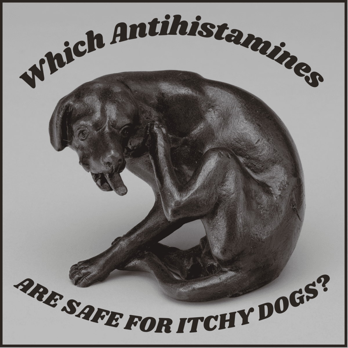 can i give my dog benadryl for allergic reaction