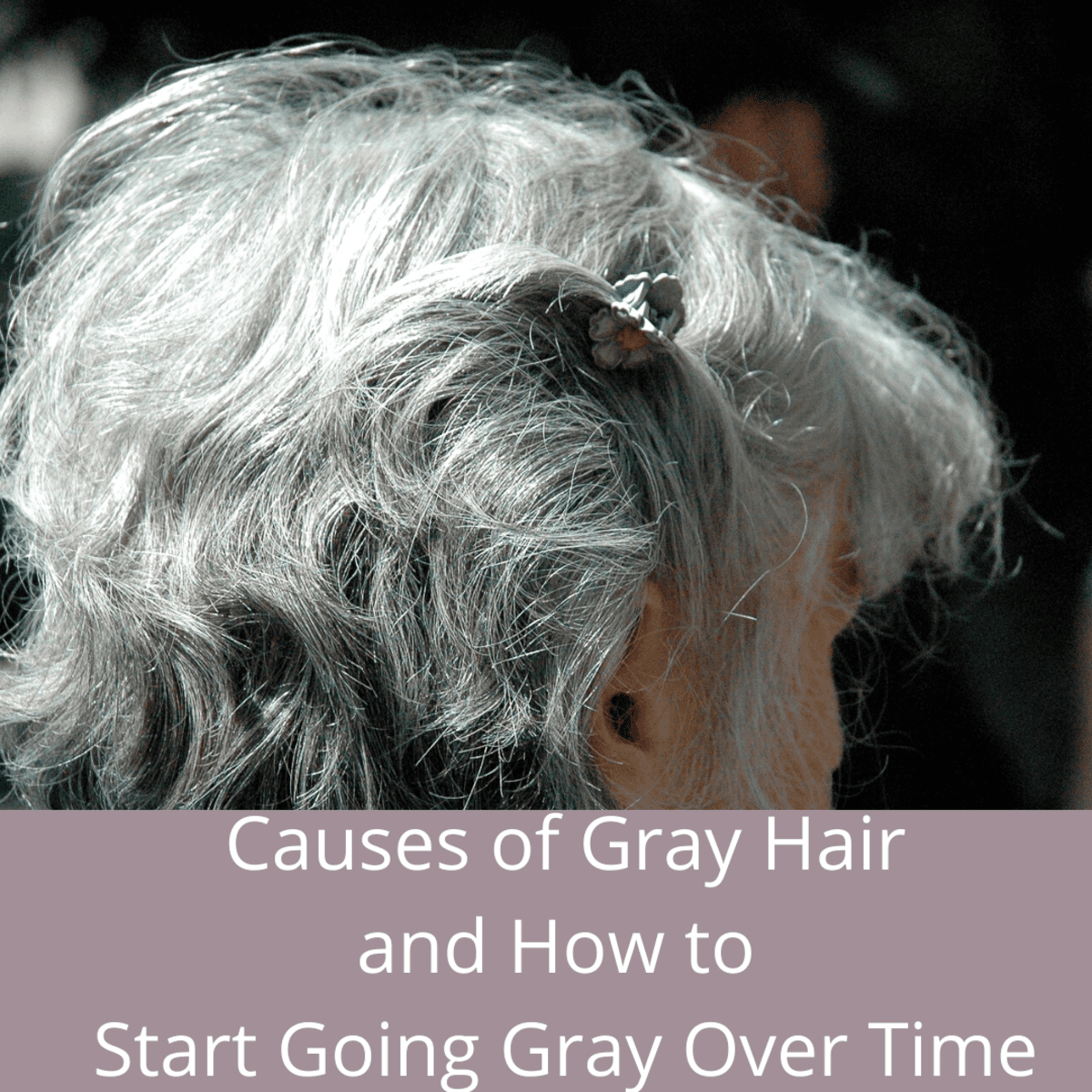 How to Transition to Gray Hair and What Causes Your Hair to Go Gray -  HubPages