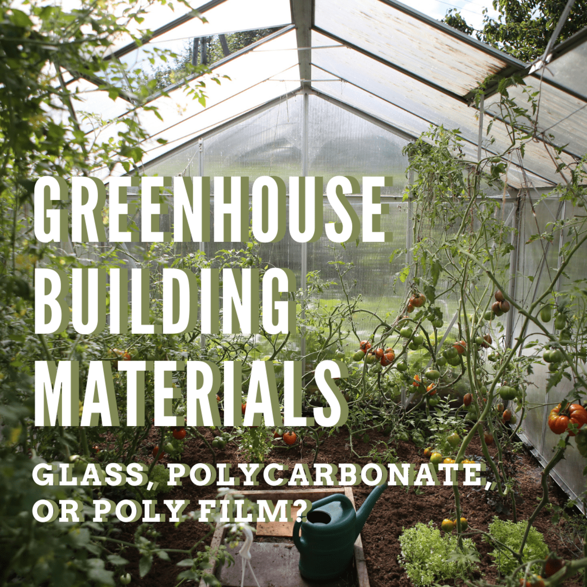 Best Greenhouses