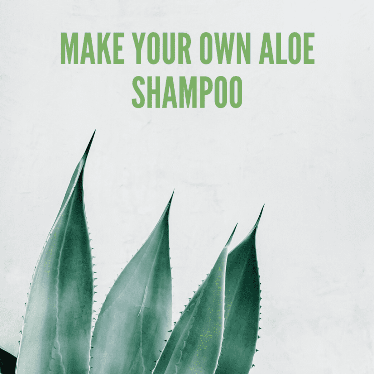 Vera Shampoo Recipe: Make Aloe Shampoo - Bellatory