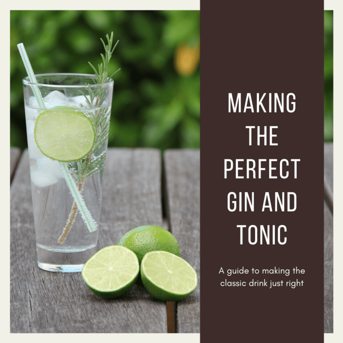 5 Best Tonics for a Gin and Tonic