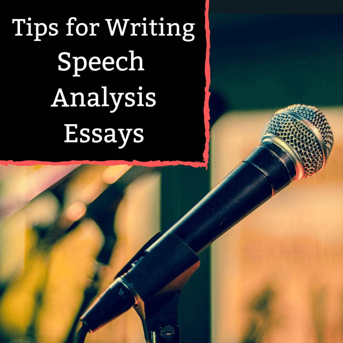 essay on speech writing