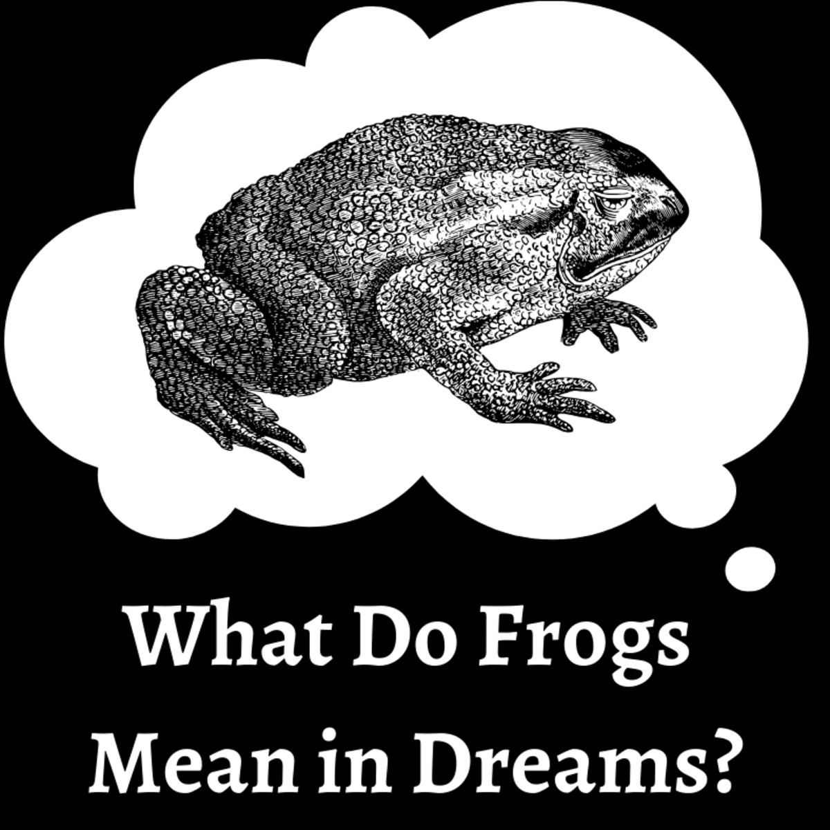 What Do Frogs Mean in Dreams? - Exemplore