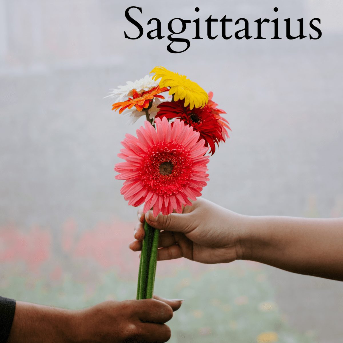 Are Libra and Sagittarius a Good Match? Everything You Need to Know About  This Pairing - HubPages