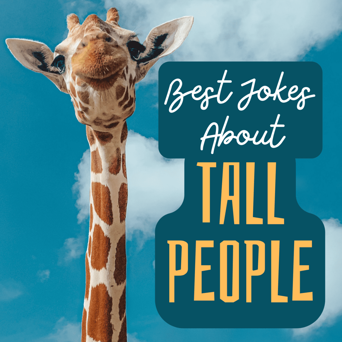 40 Funny Tall People Jokes - LetterPile