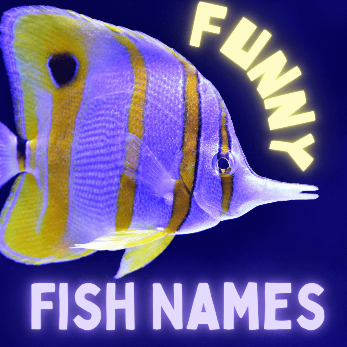 60 Funny Fish Names (From Aquarius to Zero) - PetHelpful
