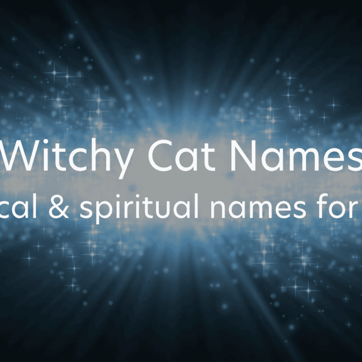 180 Magical Names For Cats Pethelpful