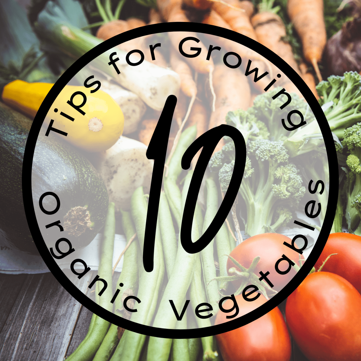 18 Tips for Growing an Organic Vegetable Garden   Dengarden