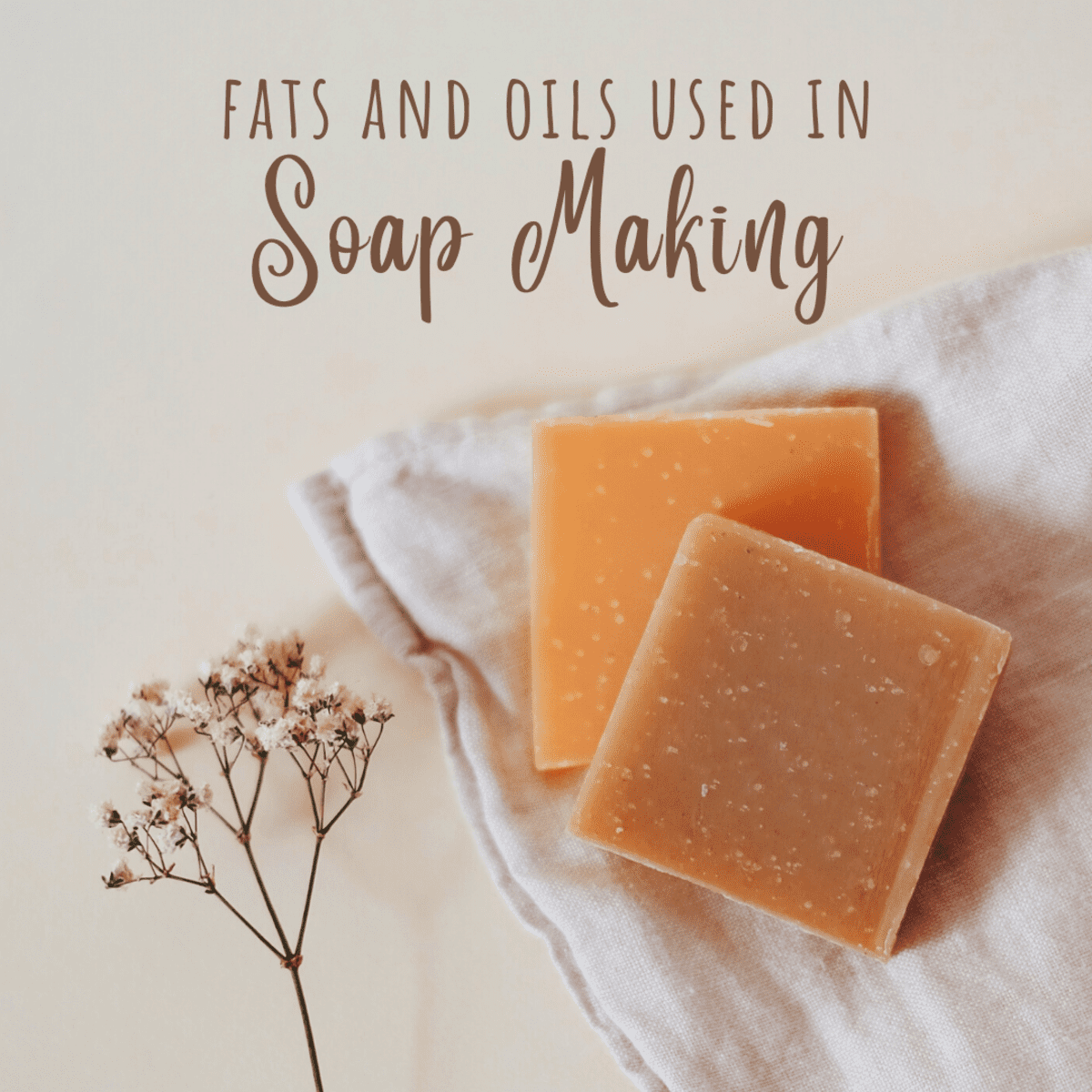 The Roles of Different Fats and Oils in Soap Making - FeltMagnet
