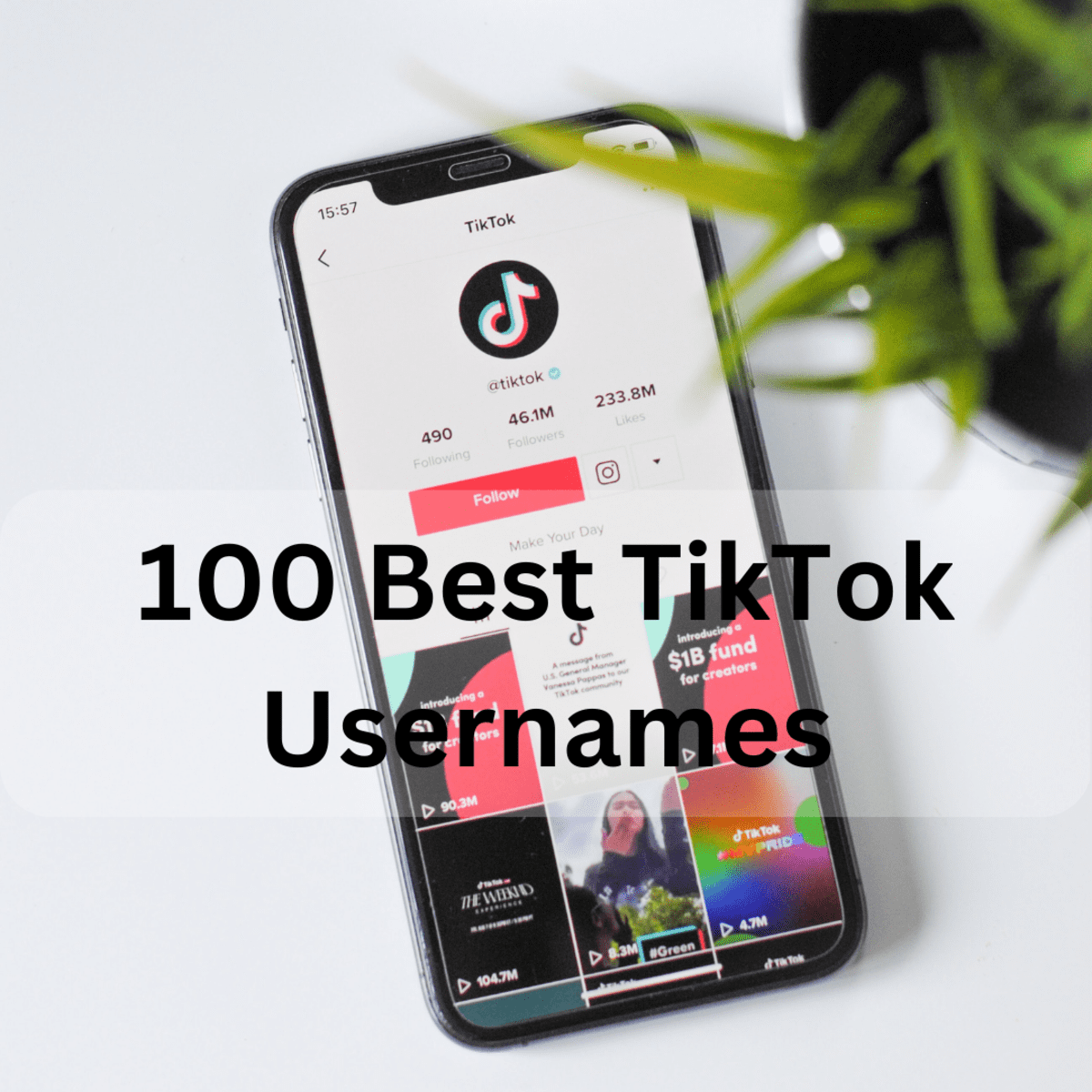 70+ Aesthetic Usernames for TikTok: The Ultimate List - TurboFuture