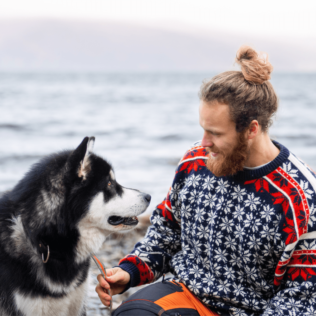 Viking Dog Sweater