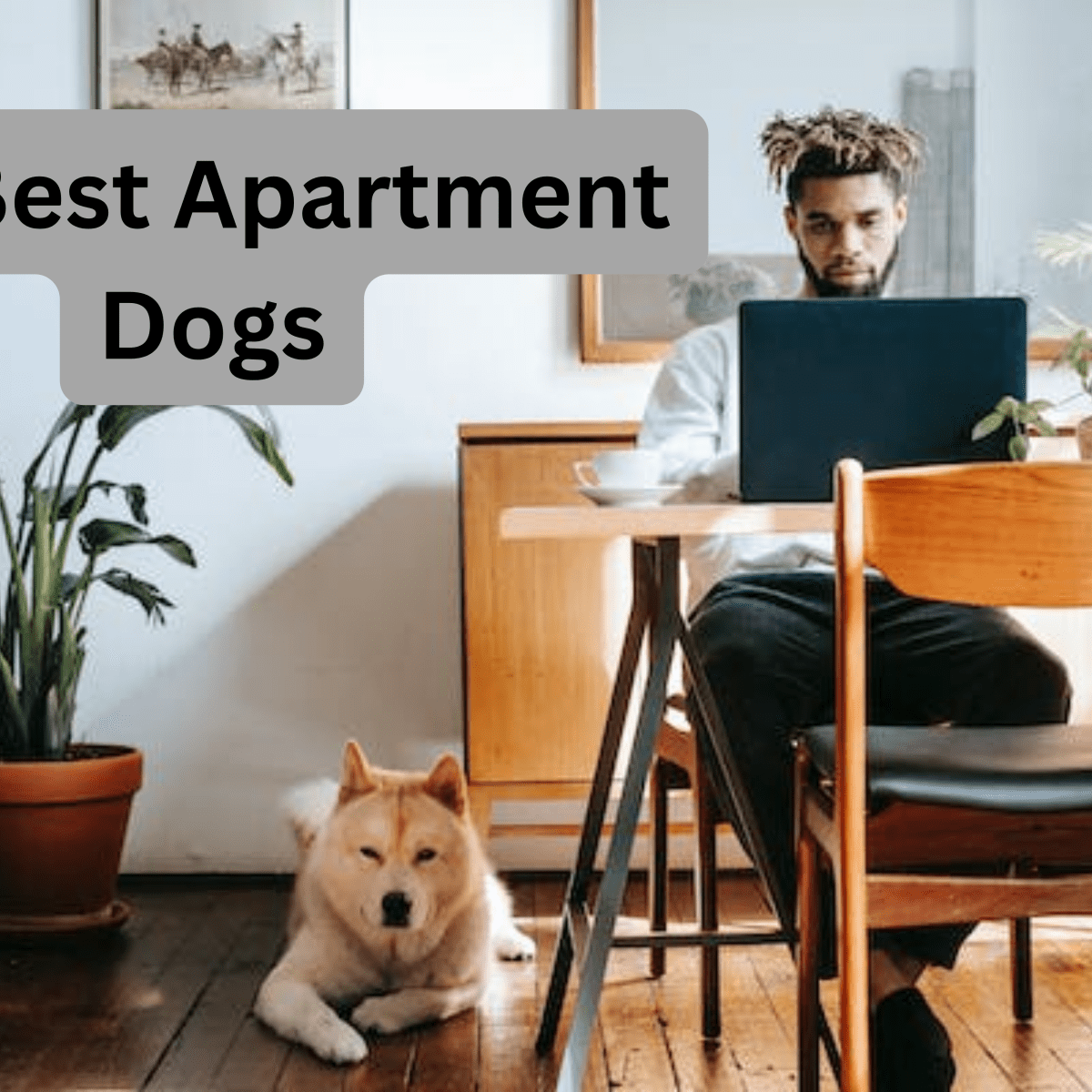 are puppies allowed in apartments