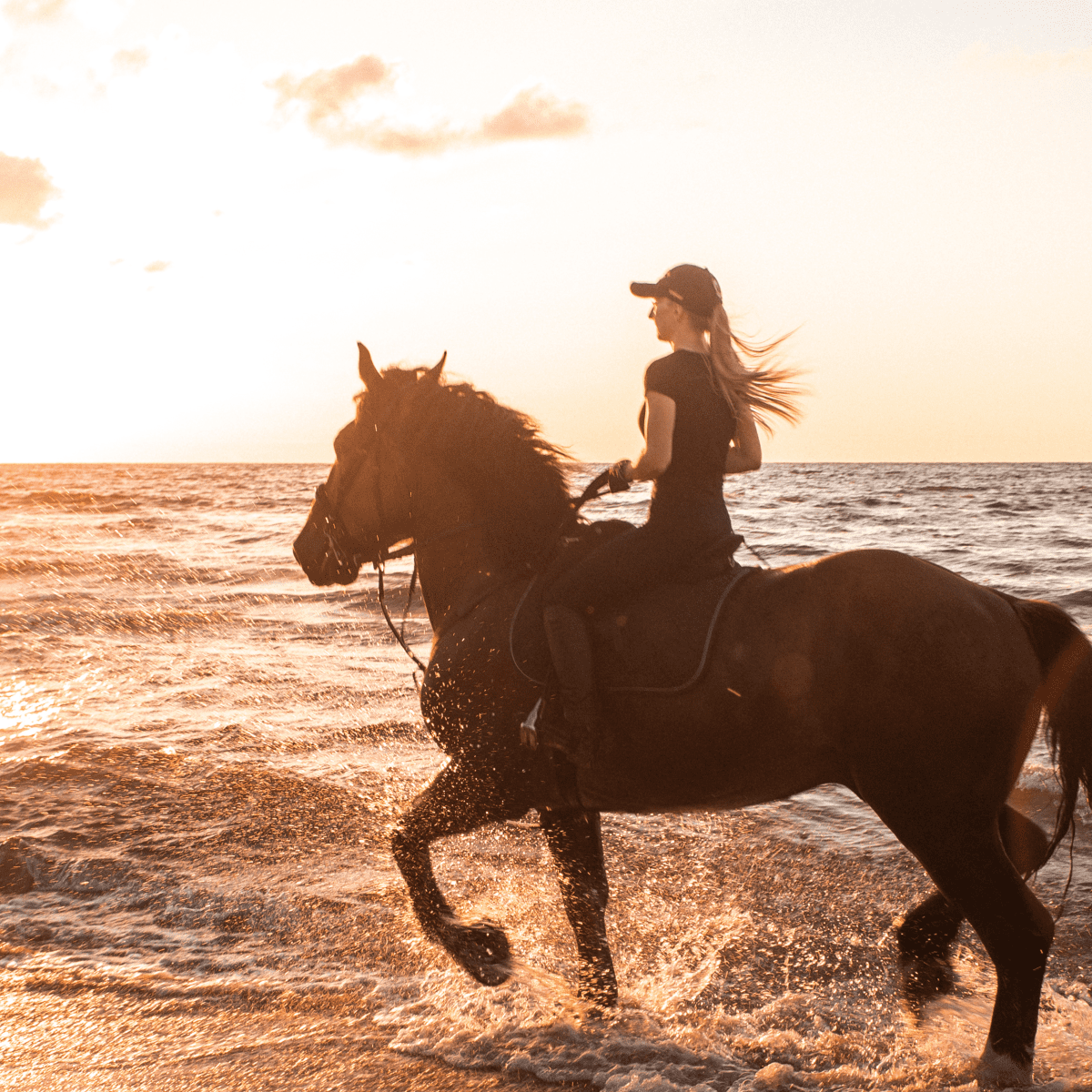 Horseback Riding on the Beach - PetHelpful