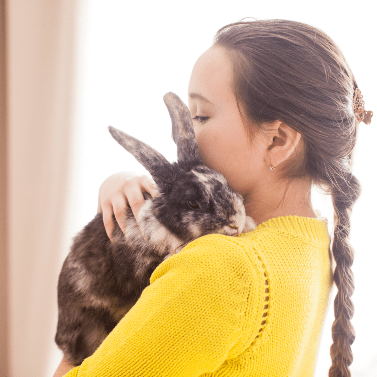 Sleepy Bunny Gets a Kiss from His Human — The Daily Bunny