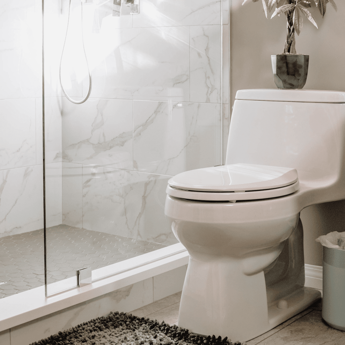 Kohler's voice-controlled bidet seat turns your dumb toilet into a  luxurious smart-throne