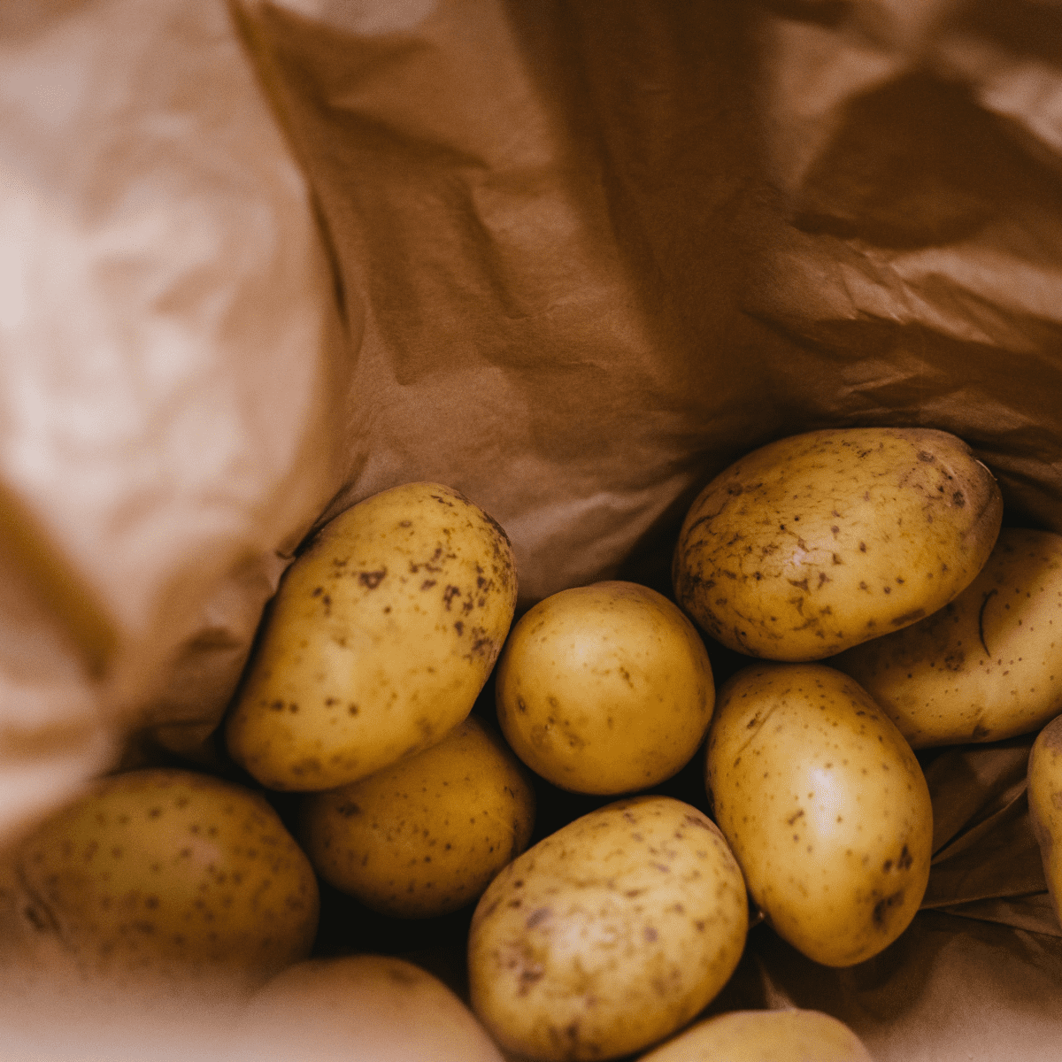 How to Sow, Plant and Grow Potatoes in Bags and Containers - Dengarden