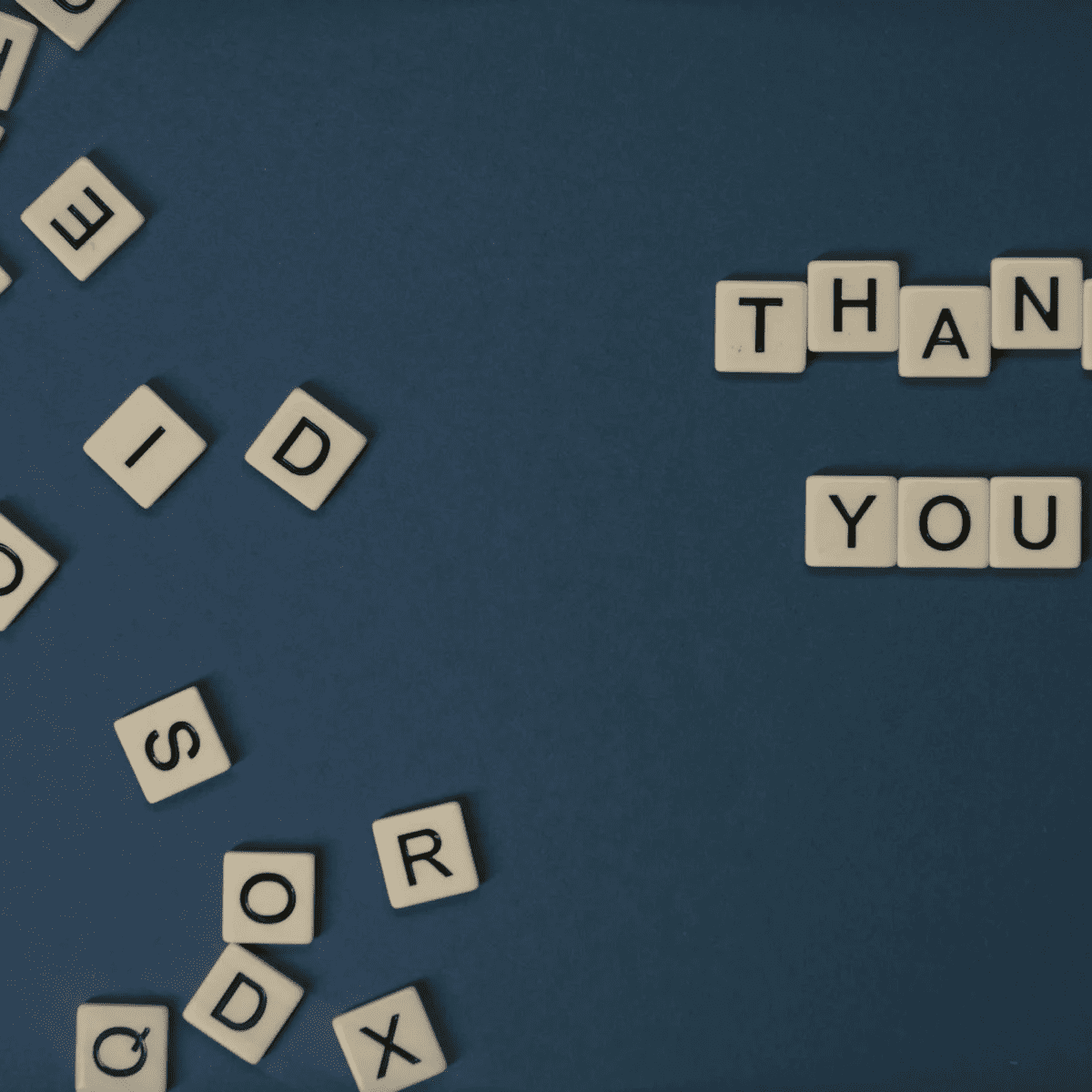 The Thank You Song 