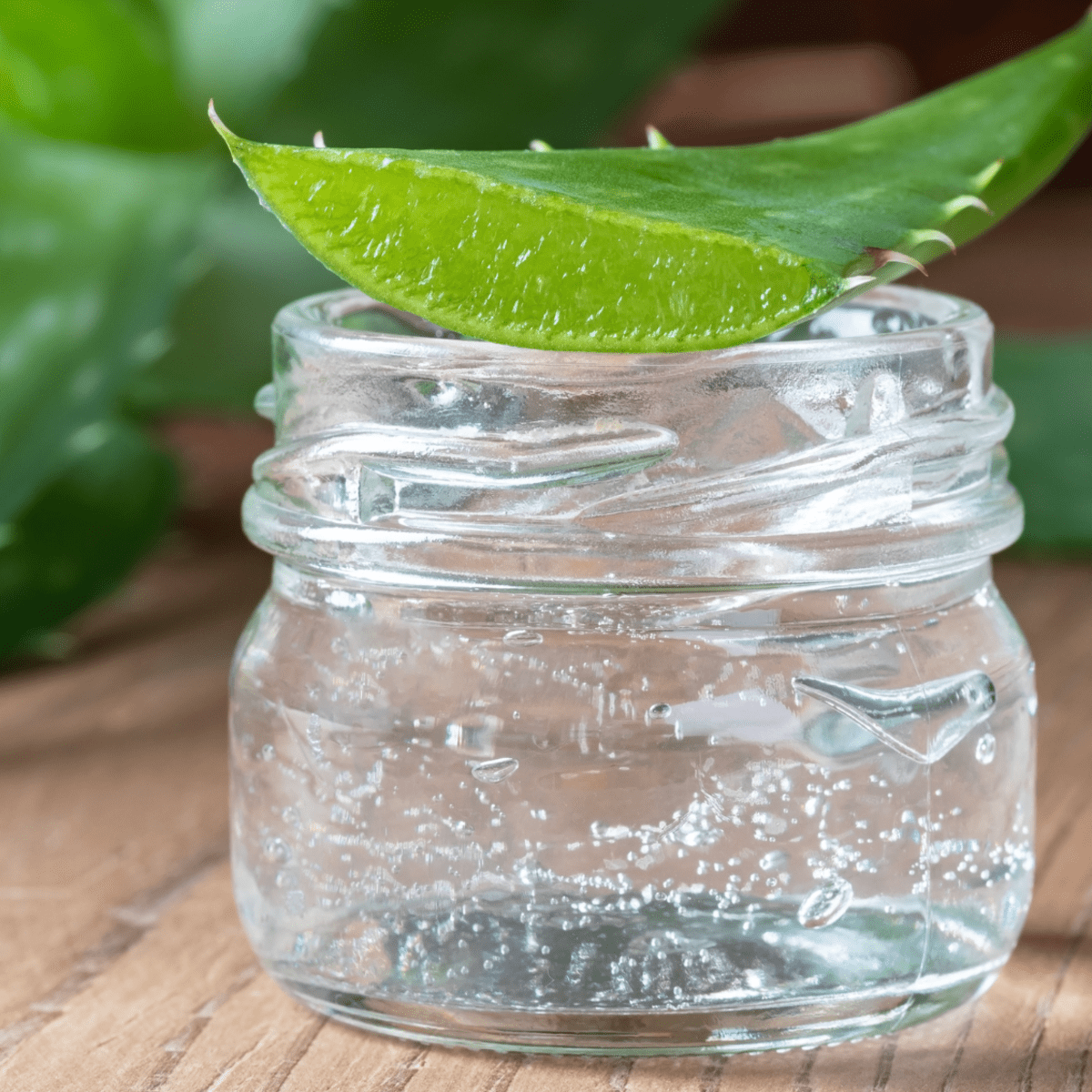 How to Make Pure Aloe Vera Gel at Home - Bellatory