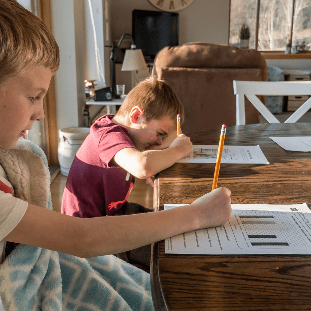 Does Homework Really Help Students Learn?, Bostonia