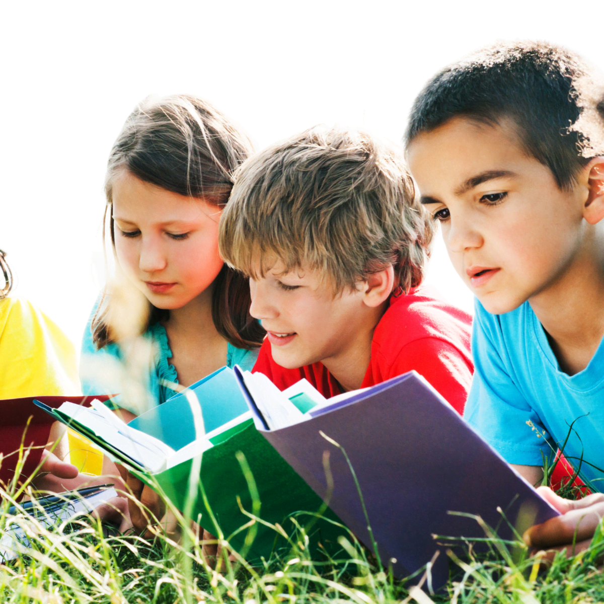 3 Secret Tips to Increase Your Scholastic Book Club Orders 