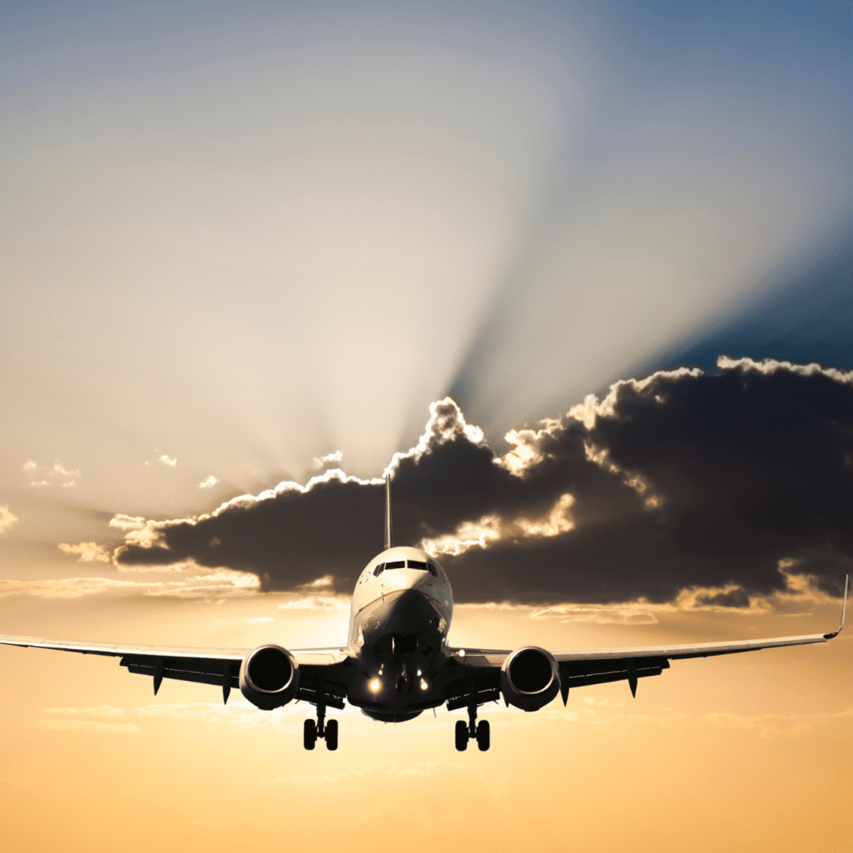 Tips and products to survive flying economy during long-haul flights
